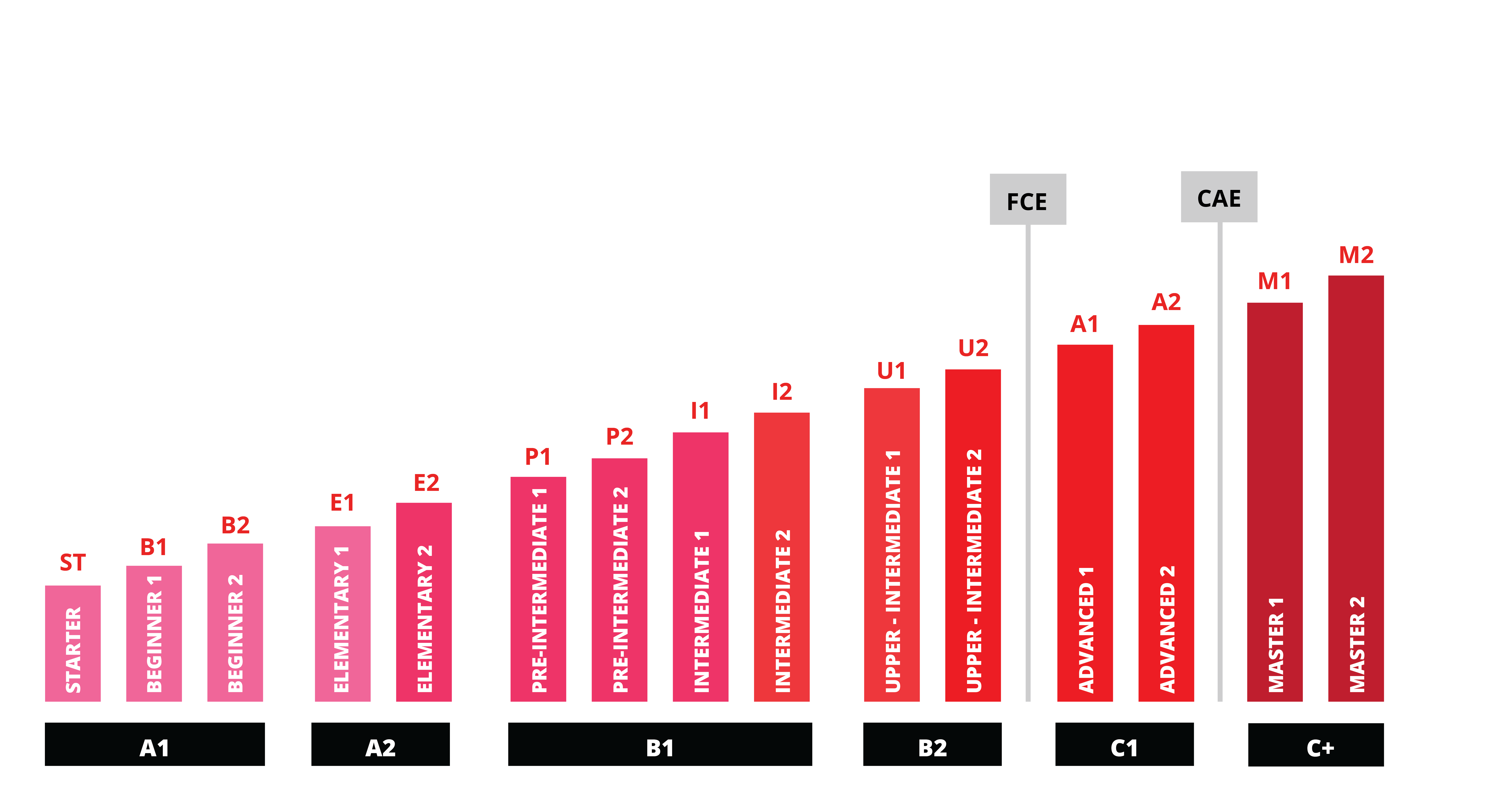 Poziomy angielskiego - stopnie zaawansowania języka angielskiego - Speak Up